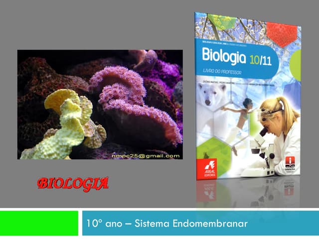 B8    Sistemas Endomembranares