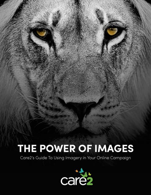 The_Power_of_Images