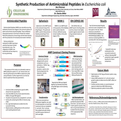 Summer Research Poster 2014 V.3.0