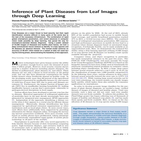 research publication