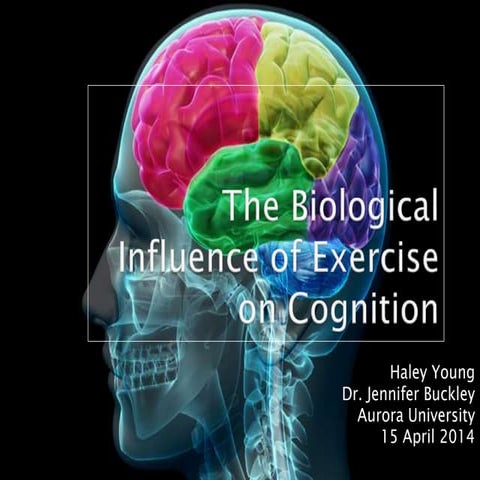 Honors Program-Senior Presentation-Exercise and Cognition