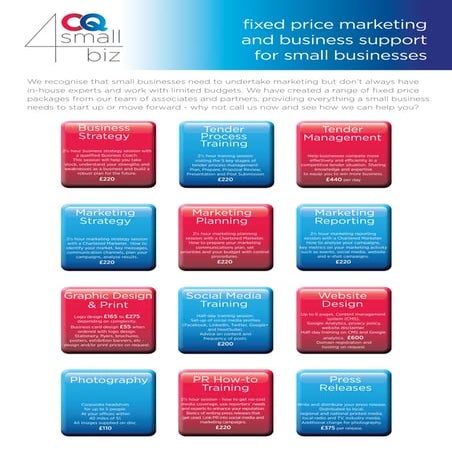 CQ4SmallBiz insert v2