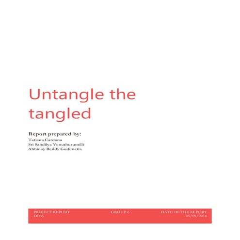 Untangle the tangle Project report | DOCX