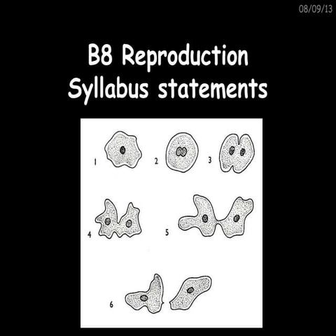 B8 syllabus statements