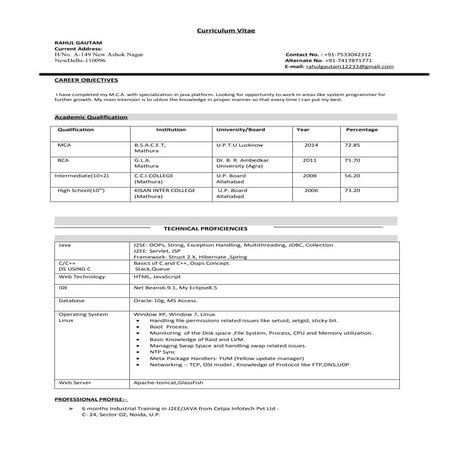 Resume_RenukaPatrikar_MCA2011 | DOCX