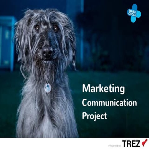 Bluecross_presentation