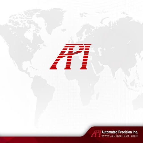 API  company presentation