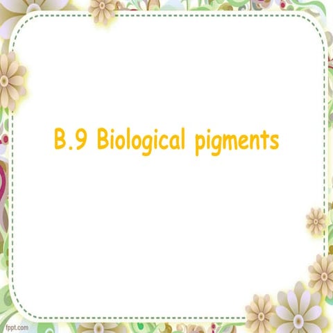 Option B.9 Biological Pigments