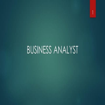 Business Analyst Overview
