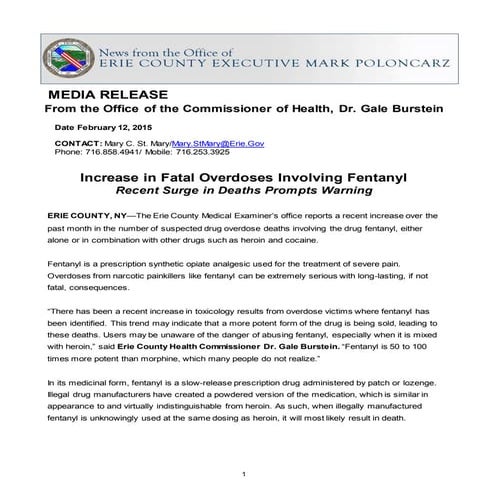 Fentanyl 2022 Drug Fact Sheet.pdf