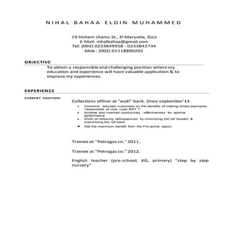 Nihal bahaa eldin resume