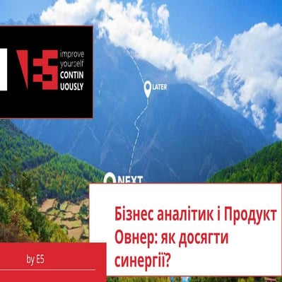 "Бізнес аналітик і продакт овнер - як досягти синергії?" | Вебінар з Володими...
