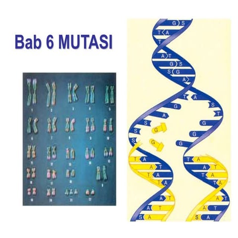 bab-6-mutasi.ppt