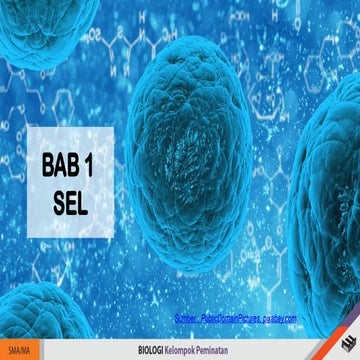 Powerpoint tentang materi menjelajah sel | PPTX