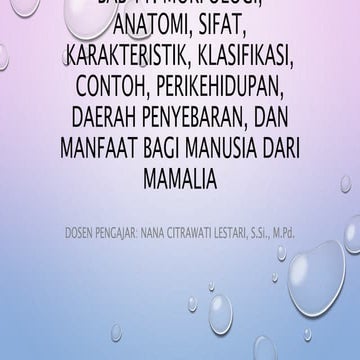 Bab 11. Ringkasan mamalia nana