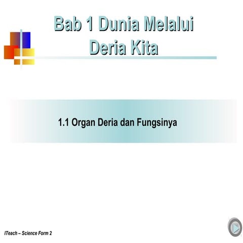 Bab 1 Dunia Melalui Deria Kita 