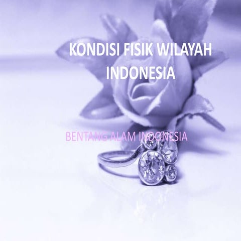 Bab 1   kondisi fisik wilayah indonesia   c