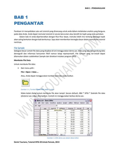 Format sap | DOC