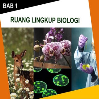 Bab 1 ruang lingkup biologi