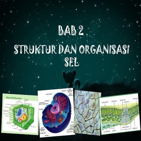 Bab 2 biologi struktur dan organisasi sel
