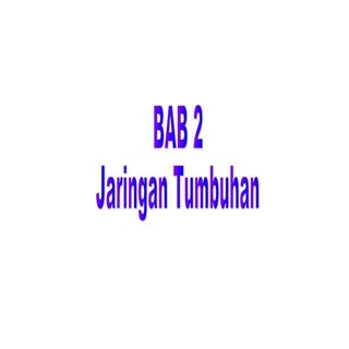 Biologi - Bab 2 - jaringan tumbuhan