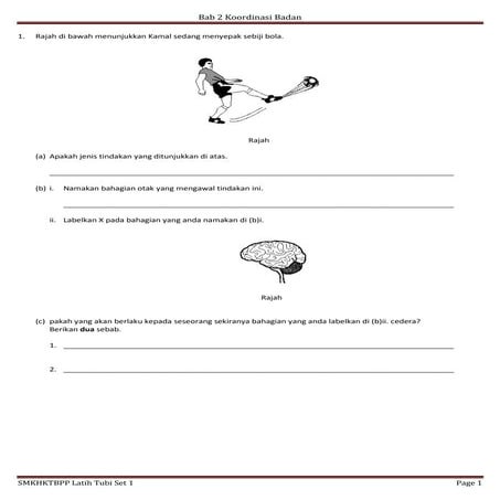 Bab 2 koordinasi badan