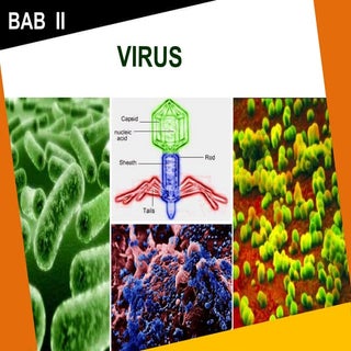 Bab 2 virus