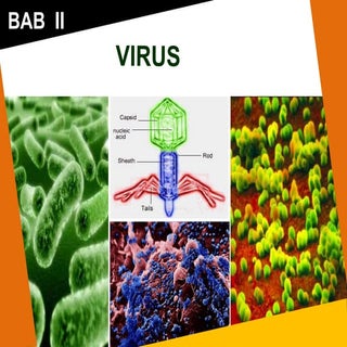Bab 2 virus
