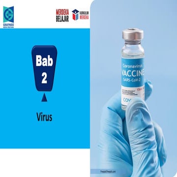 PPT Biologi SMA kelas 10 Virus Bab 2 Kumer | PDF