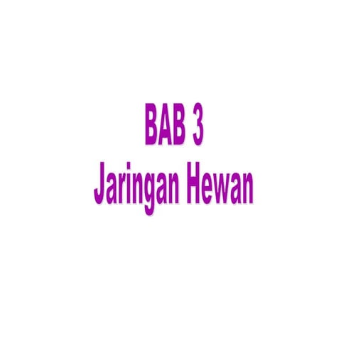 JARINGAN HEWAN