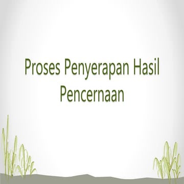 Bab 3   proses penyerapan hasil pencernaan