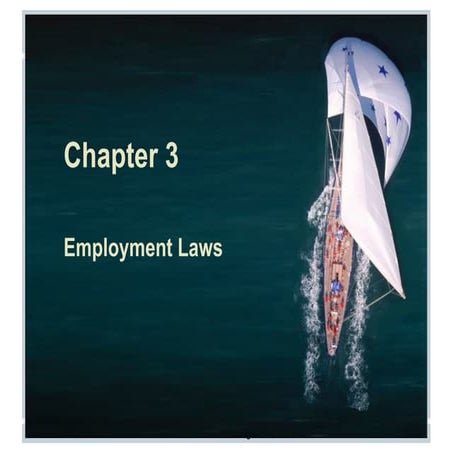 Chapter 3 Employment laws