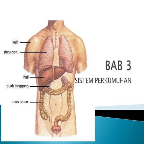Bab 3 perkumhan 