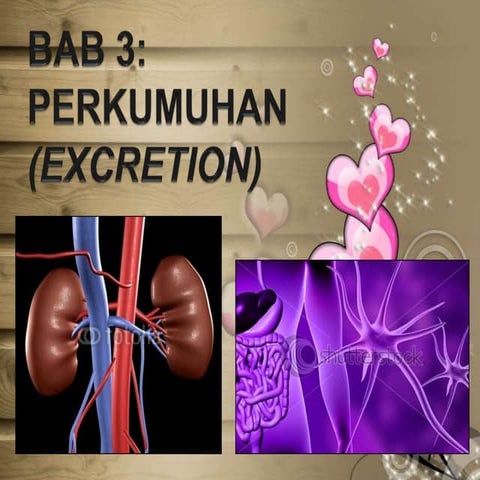 Bab 3 perkumuhan