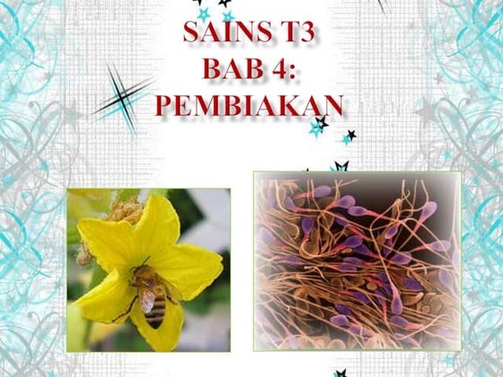 Latihan bab 4 sains | PPTX