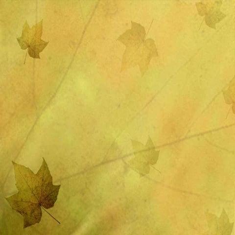 KEKAYAAN EKONOMI SABAH MENARIK MINAT SYARIKAT BORNEO UTARA BRITISH