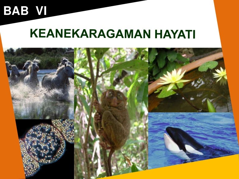 Bab 6 Keanekaragaman Hayati
