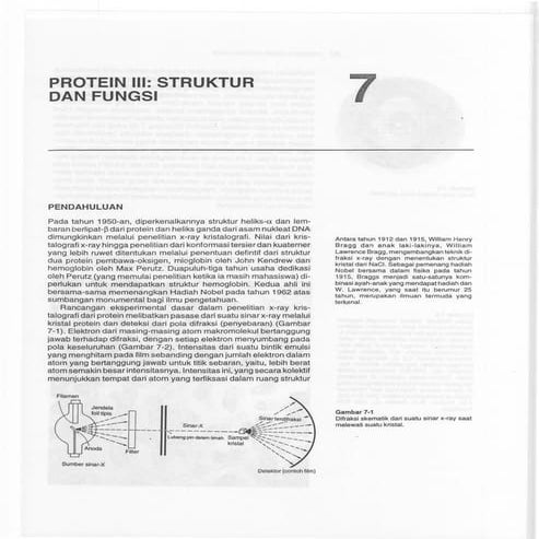 Struktur dan Fungsi Protein | PDF