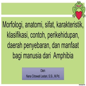 Bab 8.  Morfologi, anatomi, sifat, karakteristik amfibi