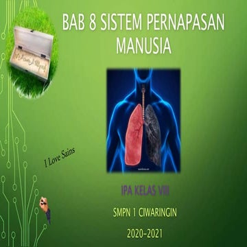Bab 8 sistem pernapasan manusia