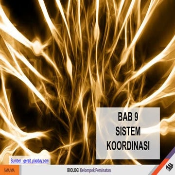 BAB 9 - SISTEM KOORDINASI - NEW-std.pptx