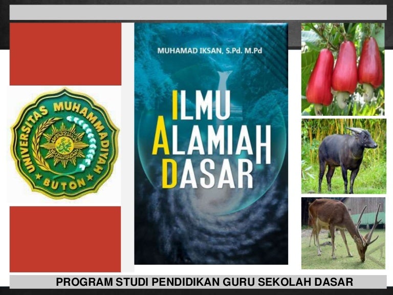 Bab 8 Konsep Evolusi