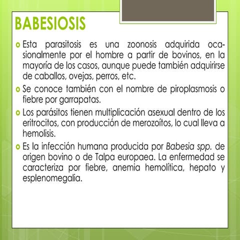 Babesiosis