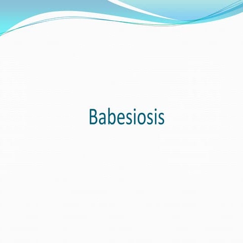 Babesiosis