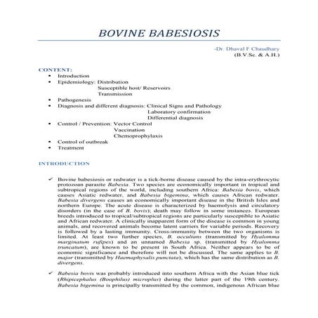 Bovine Babesiosis