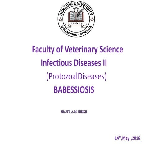 Babesiosis