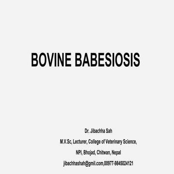 Bovine babesiosis-Dr.Jibachha Sah.M.V.Sc,Lecturer,NPI