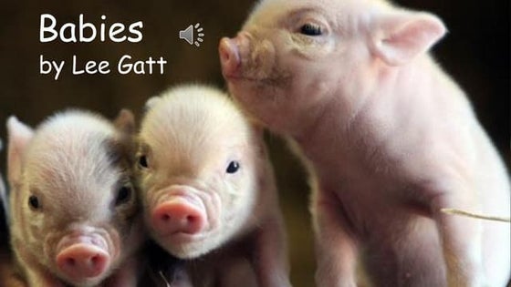 Old Macdonald Had A Farm Song Preschool Activity Learning English