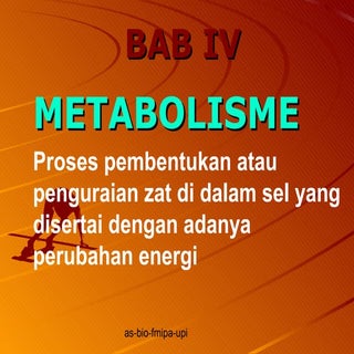Bab iv metabolisme