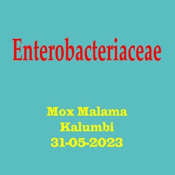 BABS 201 Lecture 5. Gram negative organisms; Enterobacteriaceae-1.pdf